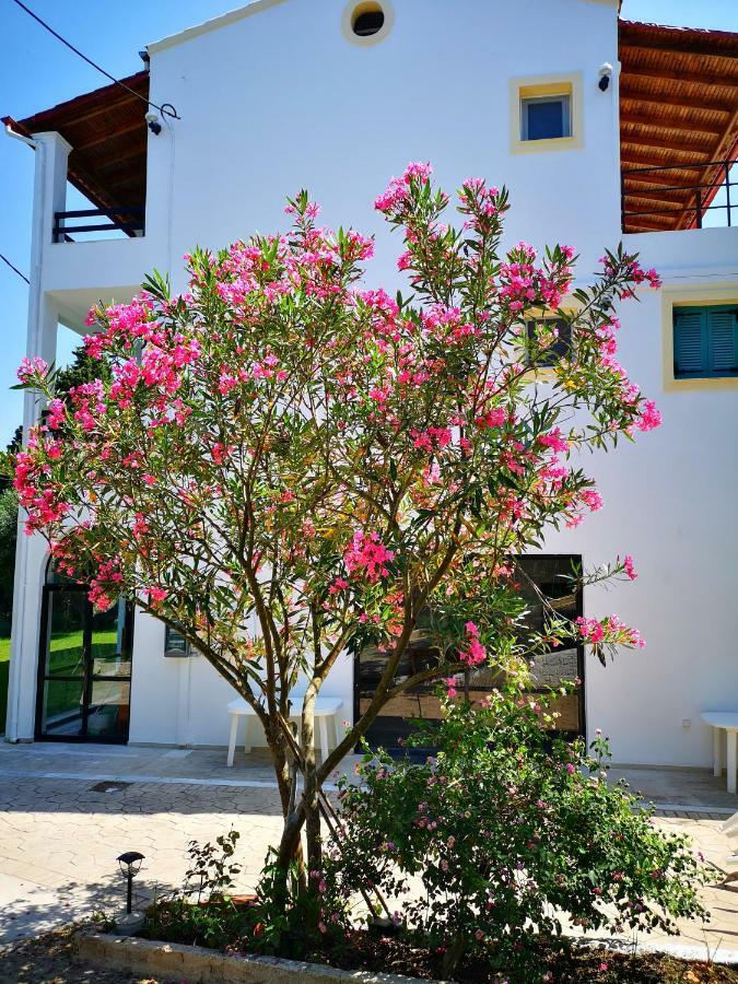 Nikoli Apartments بينيتسيس المظهر الخارجي الصورة